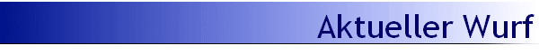 Aktueller Wurf